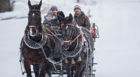 Paardensleetocht  in Tiroler Zugspitz Arena